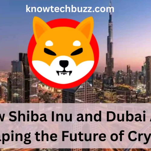 Shiba Inu and Dubai