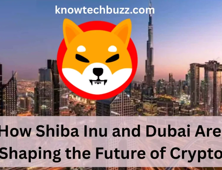 Shiba Inu and Dubai