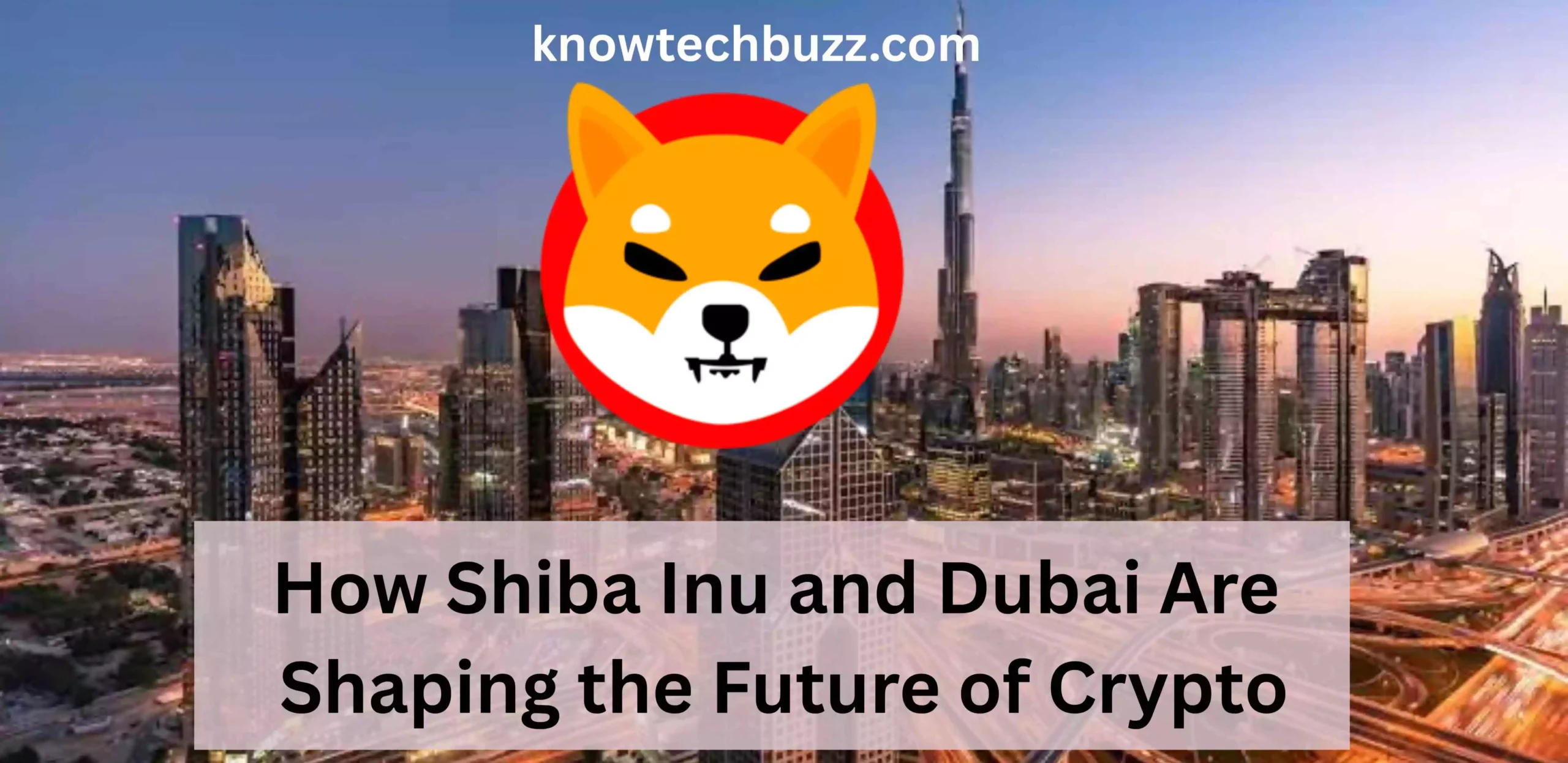 Shiba Inu and Dubai